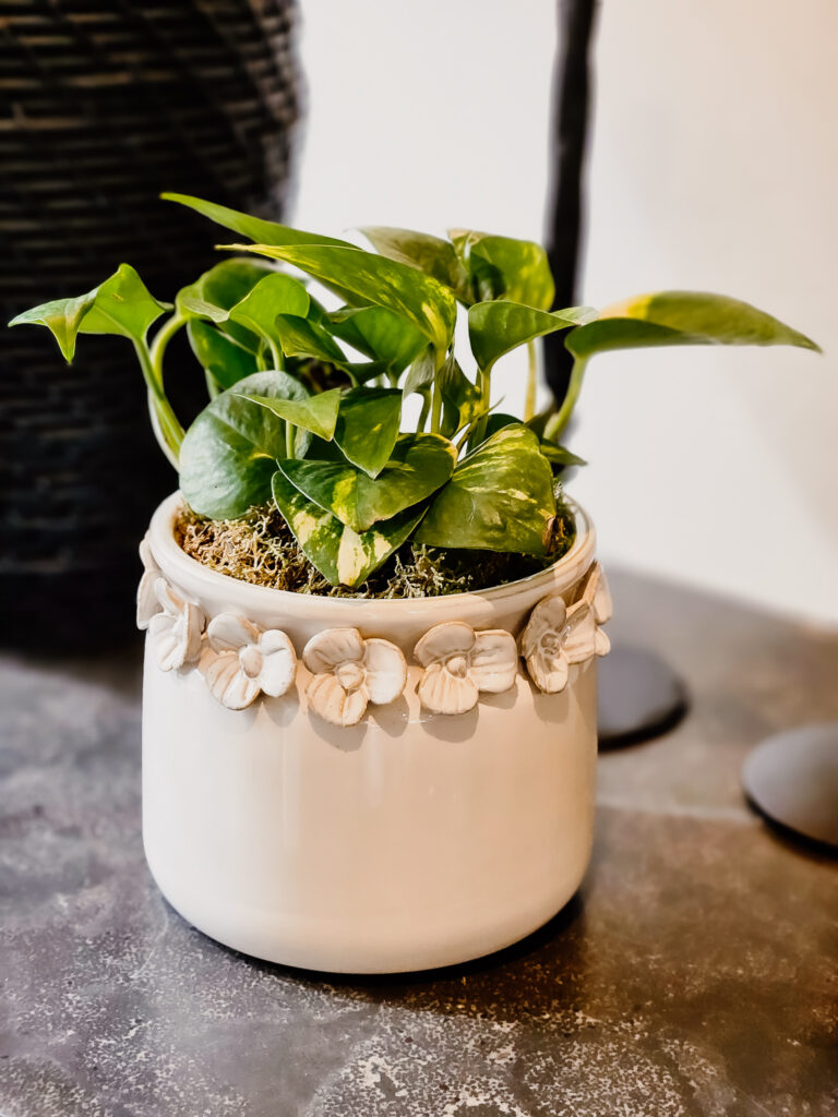 Interior design and home decor accessories in Atascadero